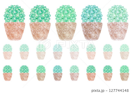 サボテン サボテン 127744148