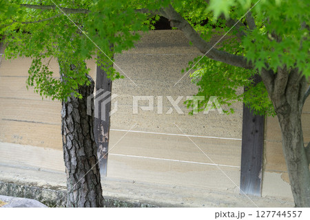 日本建築の伝統意匠と木造ディテール 日本建築の伝統意匠と木造ディテール 127744557