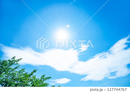 青空と雲と太陽と木立 127744767