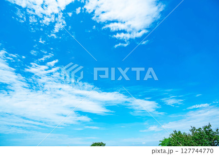 青空と雲と木立 127744770