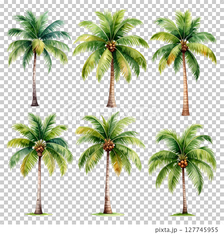 A tropical set of palm trees with green leaves against a summer sky, perfect for a beach vacation or island landscape A tropical set of palm trees with green leaves against a summer sky, perfect for a beach vacation or island landscape 127745955