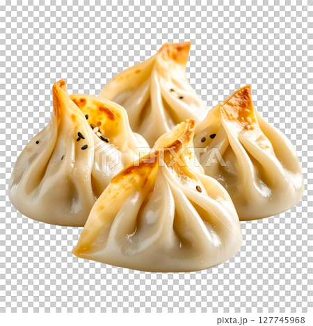 Freshly steamed Chinese dumplings with chicken and pork, a delicious gourmet meal or snack 127745968