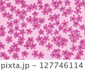 シームレスな芝桜の背景素材 127746114