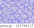 シームレスな芝桜の背景素材 127746117