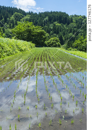 田植えを終えた若桜氷ノ山の棚田の風景 鳥取県 若桜町 田植えを終えた若桜氷ノ山の棚田の風景 鳥取県 若桜町 127746176