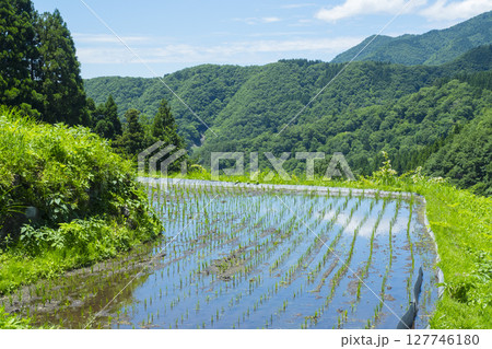 田植えを終えた若桜氷ノ山の棚田の風景 鳥取県 若桜町 田植えを終えた若桜氷ノ山の棚田の風景 鳥取県 若桜町 127746180