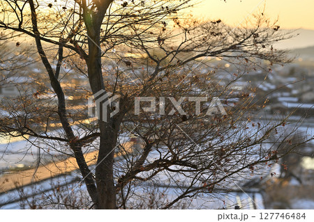 滋賀県　安土城跡からの冬景色 127746484