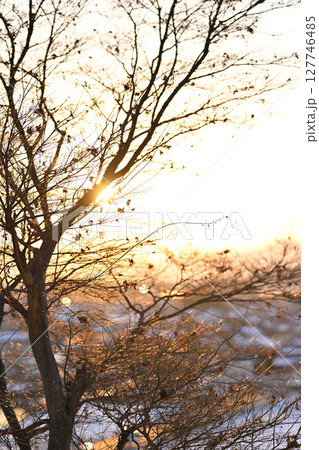 滋賀県 安土城跡からの冬景色 滋賀県 安土城跡からの冬景色 127746485