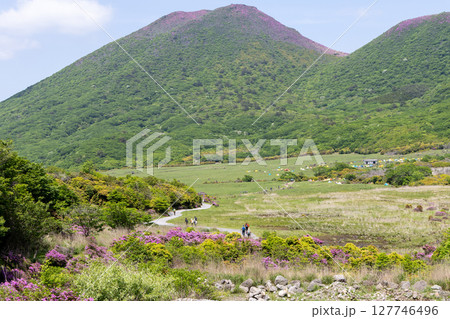 ミヤマキリシマ咲く平治岳と坊ガツル湿原の春景色 ミヤマキリシマ咲く平治岳と坊ガツル湿原の春景色 127746496