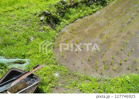 田植えを終えた若桜氷ノ山の棚田の風景 鳥取県 若桜町 127746925