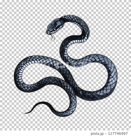 Snake in Chinese ink style on transparent background 127746997