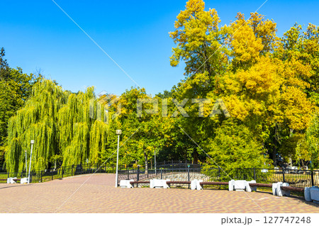 Brest City Park Belarus green nature river lake pond bridge. 127747248