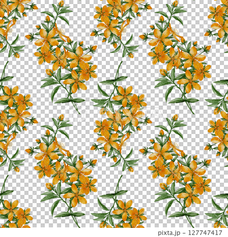 Seamless pattern with St. Johns wort flowers 127747417
