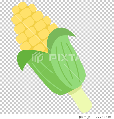 とうもろこし 葉っぱ付き 夏野菜 ベクターイラスト とうもろこし 葉っぱ付き 夏野菜 ベクターイラスト 127747736