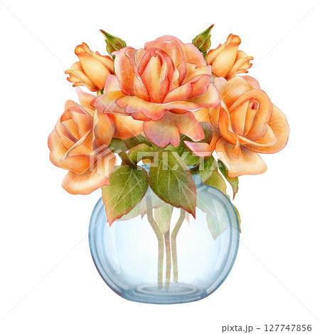 Bouquet of orange roses in glass vase 127747856