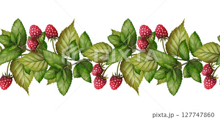 Seamless raspberry border with green leaves Seamless raspberry border with green leaves 127747860