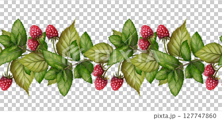 Seamless raspberry border with green leaves 127747860
