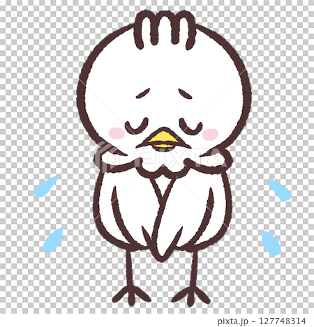 一隻白鳥低頭的插圖 一隻白鳥低頭的插圖 127748314