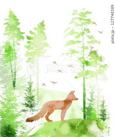 Watercolor forest with fox. Woodland vector composition. Watercolor forest with fox. Woodland vector composition. 127748389