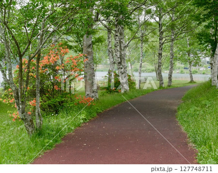 白樺湖畔 白樺湖畔 127748711