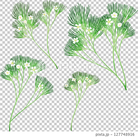 梅花的插圖素材（向量轉換） 127748916