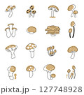 いろいろなキノコのセット イラスト 127748928
