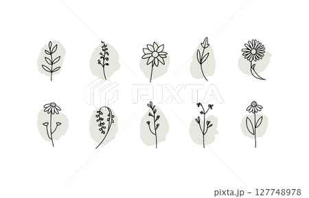 Elegant Floral Medallions. A delicate set of six hand-drawn flowers placed in soft oval shapes, ideal for boho branding, stationery, or organic product packaging. 127748978