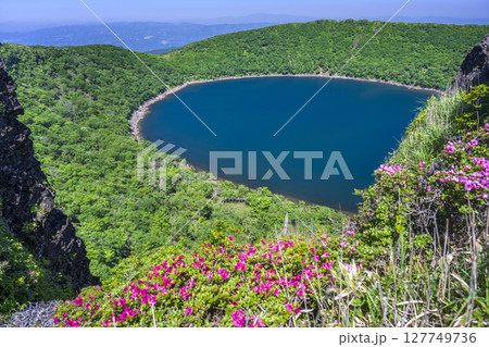 深緑の大浪池から韓国岳 深緑の大浪池から韓国岳 127749736