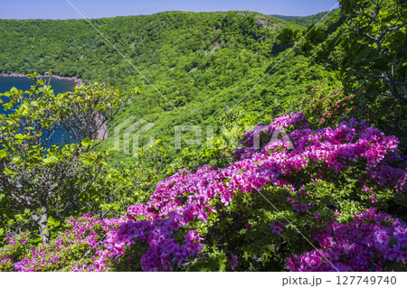 深緑の大浪池から韓国岳 127749740