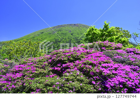 深緑の大浪池から韓国岳 深緑の大浪池から韓国岳 127749744