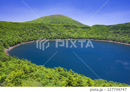 深緑の大浪池から韓国岳 127749747