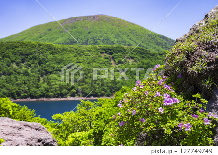 深緑の大浪池から韓国岳 深緑の大浪池から韓国岳 127749749