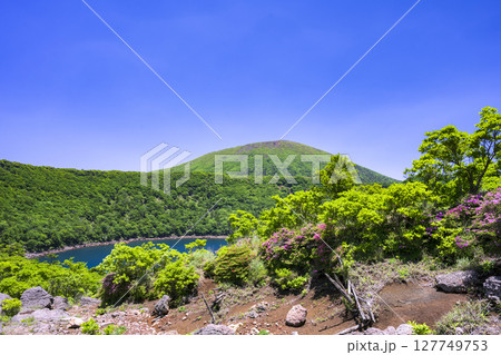 深緑の大浪池から韓国岳 深緑の大浪池から韓国岳 127749753
