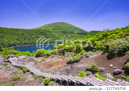 深緑の大浪池から韓国岳 深緑の大浪池から韓国岳 127749756