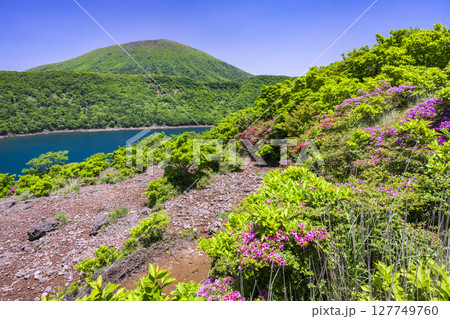 深緑の大浪池から韓国岳 深緑の大浪池から韓国岳 127749760