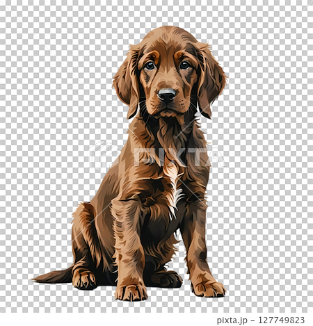 愛爾蘭塞特犬小狗的剪貼畫插圖 127749823