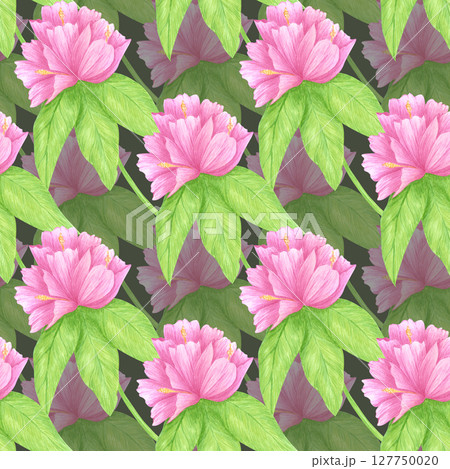 Hand drawn watercolor azalea seamless pattern. Flower of the field isolated on dark background. Can be used for textile, fabric, scrapbook and other printed products. Hand drawn watercolor azalea seamless pattern. Flower of the field isolated on dark background. Can be used for textile, fabric, scrapbook and other printed products. 127750020