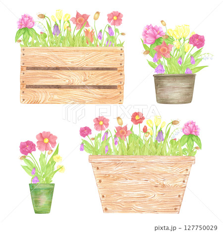 Hand drawn watercolor wildflowers and leaves in pots and boxes isolated on white background. Can be used for postcard, label, scrapbook and other printed products. Hand drawn watercolor wildflowers and leaves in pots and boxes isolated on white background. Can be used for postcard, label, scrapbook and other printed products. 127750029