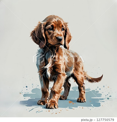 優雅に立つ仔犬アイリッシュセッター 127750579