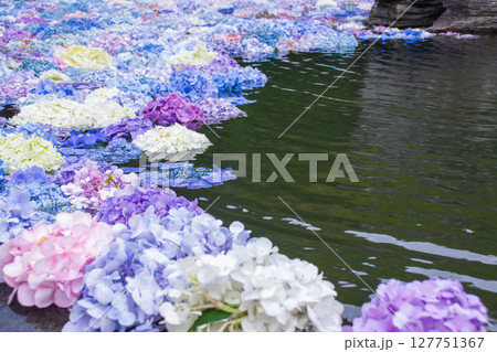 久安寺 あじさいうかべ 久安寺 あじさいうかべ 127751367