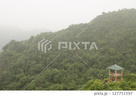 Observation tower over the rainforest. 127751597