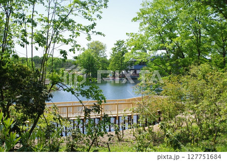 備北丘陵公園国兼池湖畔の景色 備北丘陵公園国兼池湖畔の景色 127751684