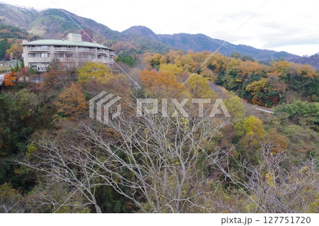 安芸大田町温井ダムリゾートの景色 127751720