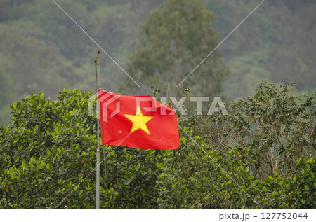 Flag of Vietnam. 127752044