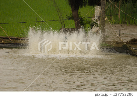 Turbulence in the water of a pond. Turbulence in the water of a pond. 127752290