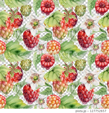 Raspberry cloudberry mulberry ripe garden berries, flowers in water dew drops hand drawn in watercolor. Seamless isolated pattern tile. Home preserves, textile linens, food store decor, packaging Raspberry cloudberry mulberry ripe garden berries, flowers in water dew drops hand drawn in watercolor. Seamless isolated pattern tile. Home preserves, textile linens, food store decor, packaging 127752657