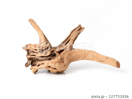 Dry driftwood isolated on white background, natural decorative element for aquariums or interior design. 127752936