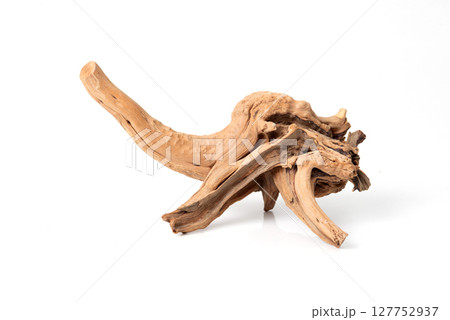 Dry driftwood isolated on white background, natural decorative element for aquariums or interior design. 127752937