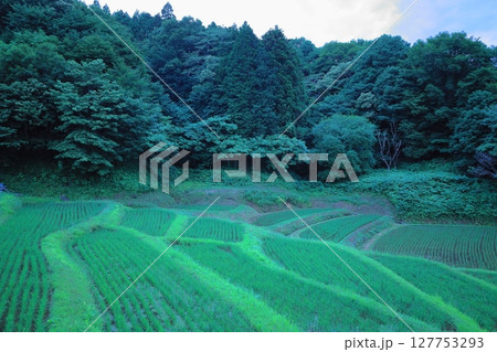 ほたるの里 茂木町 石畑の棚田/栃木県 ほたるの里 茂木町 石畑の棚田/栃木県 127753293