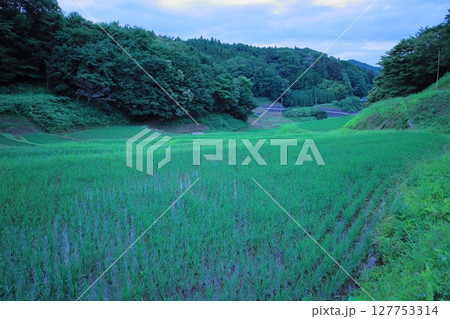ほたるの里　茂木町 石畑の棚田／栃木県 127753314